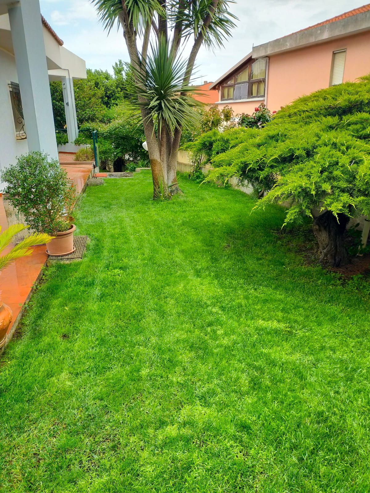 il giardino fiorito
