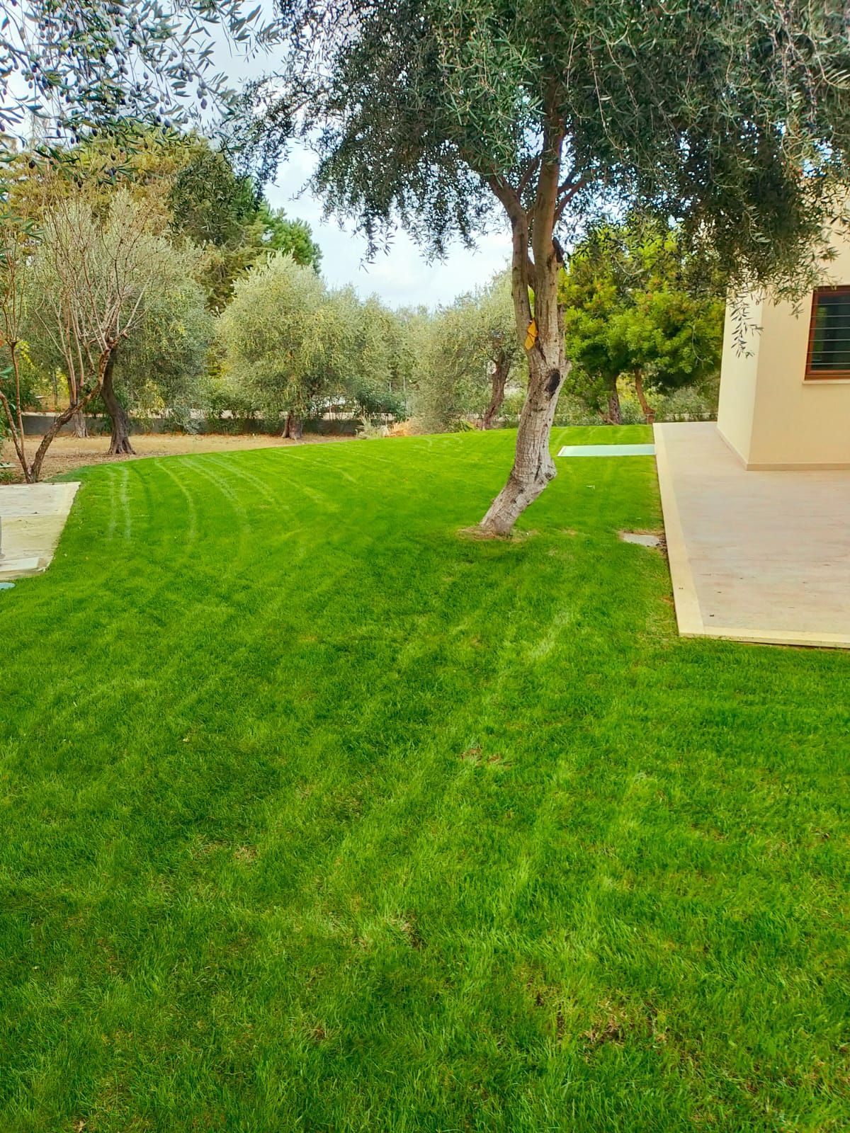 il giardino fiorito
