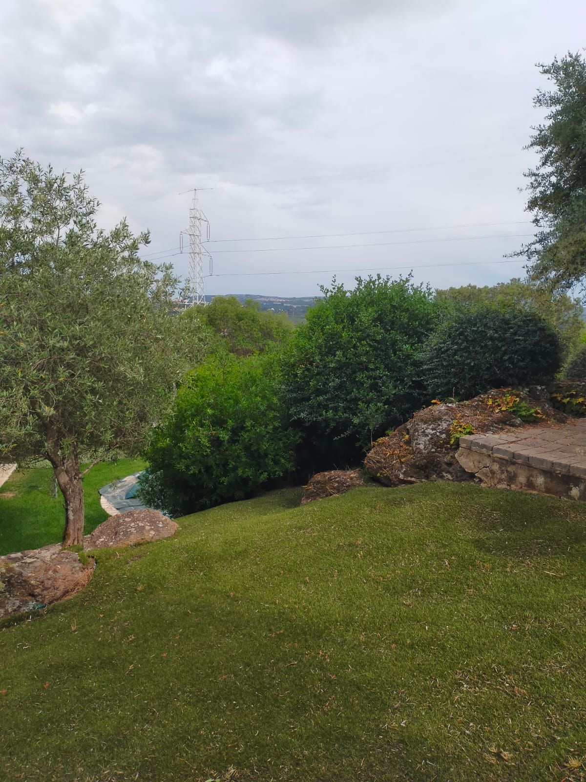 il giardino fiorito