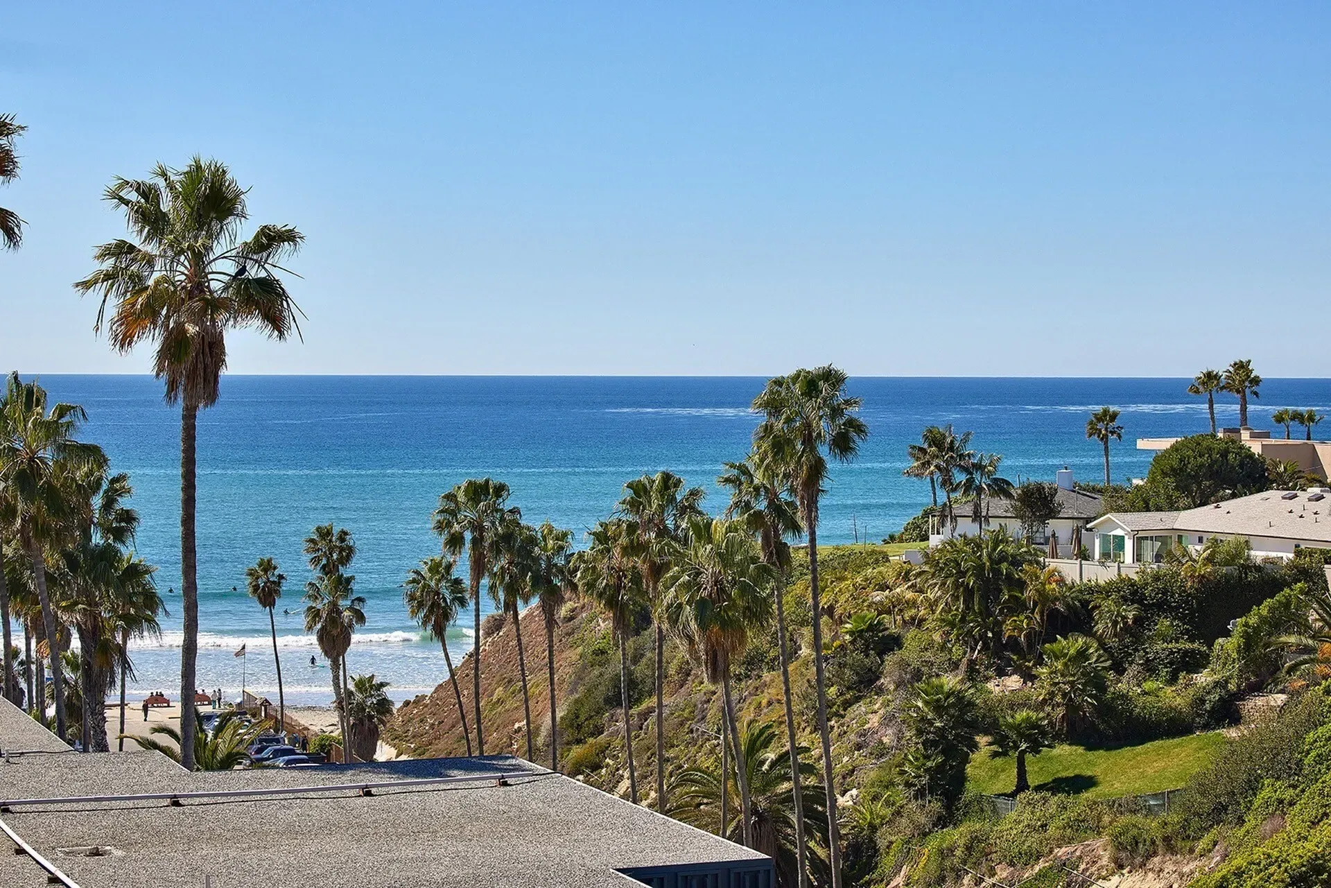 Palm trees overlooking a sunny beach and blue ocean under a clear sky