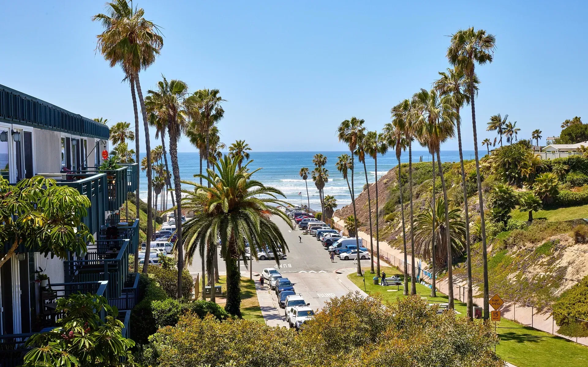 Palm-lined street leading to the ocean on a sunny day, with parked cars and hillside homes.