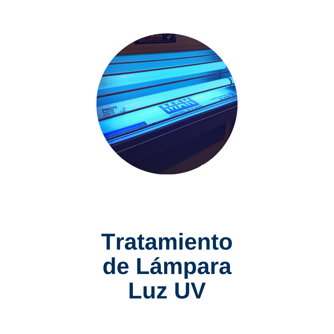 luz uv