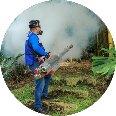 FUMIGACIONES MAR