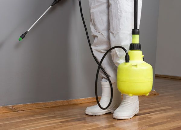 Fumigaciones Mar