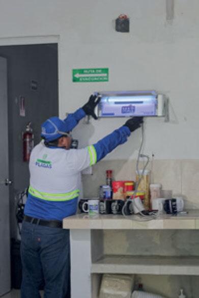 Fumigaciones Mar