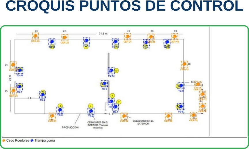 puntos de control