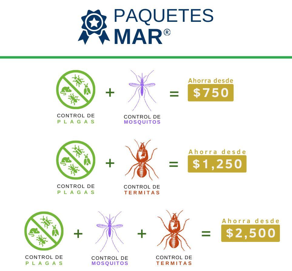 paquetes mar
