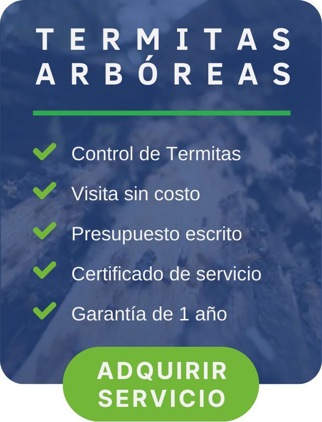 arboreas