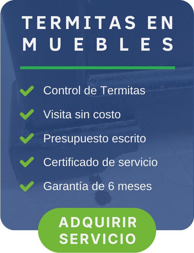 termitas en muebles