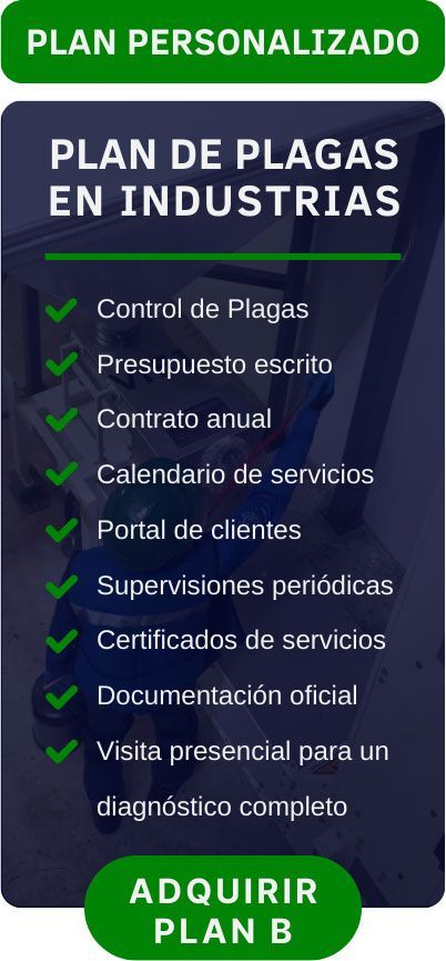 personalizado