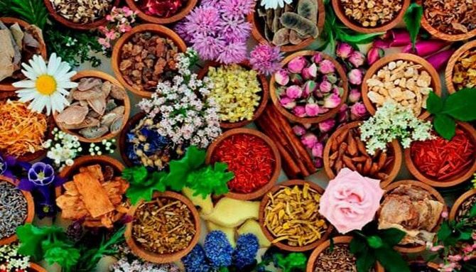 Hay muchos tipos diferentes de hierbas y flores en los cuencos.