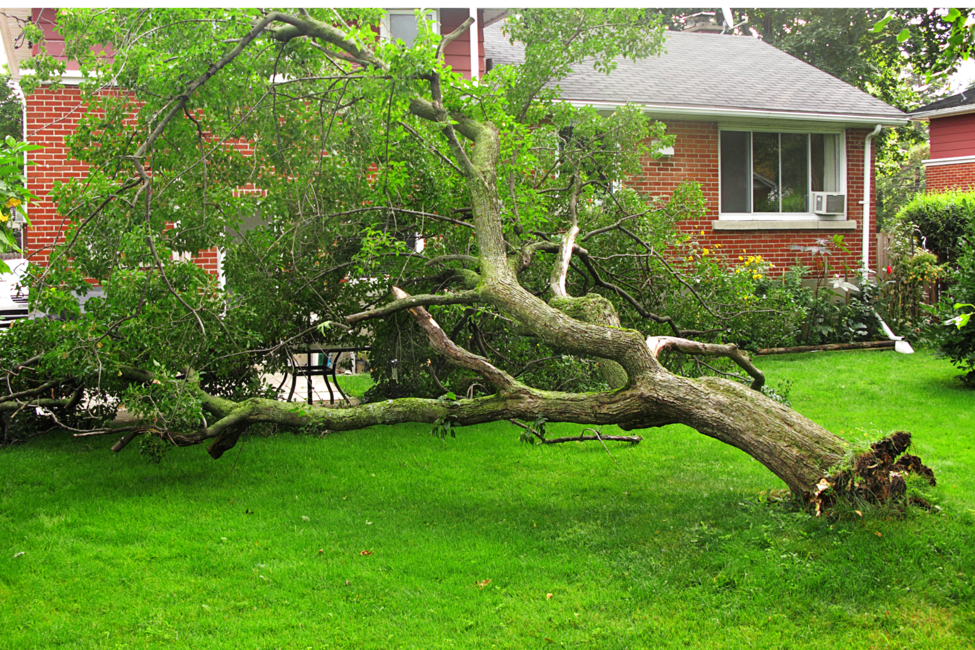 Oakland Tree Pros 24/7 Emergency Service
