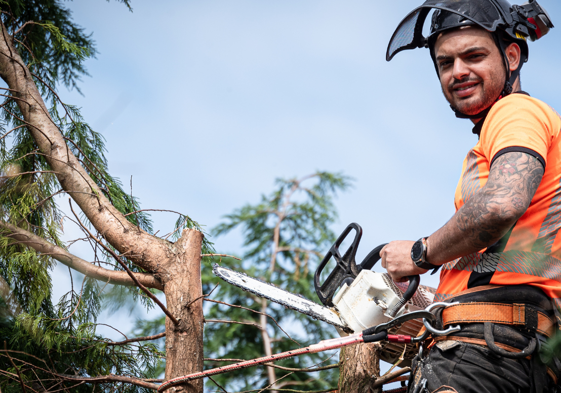 Tree Trimming Oakland Tree Pro's