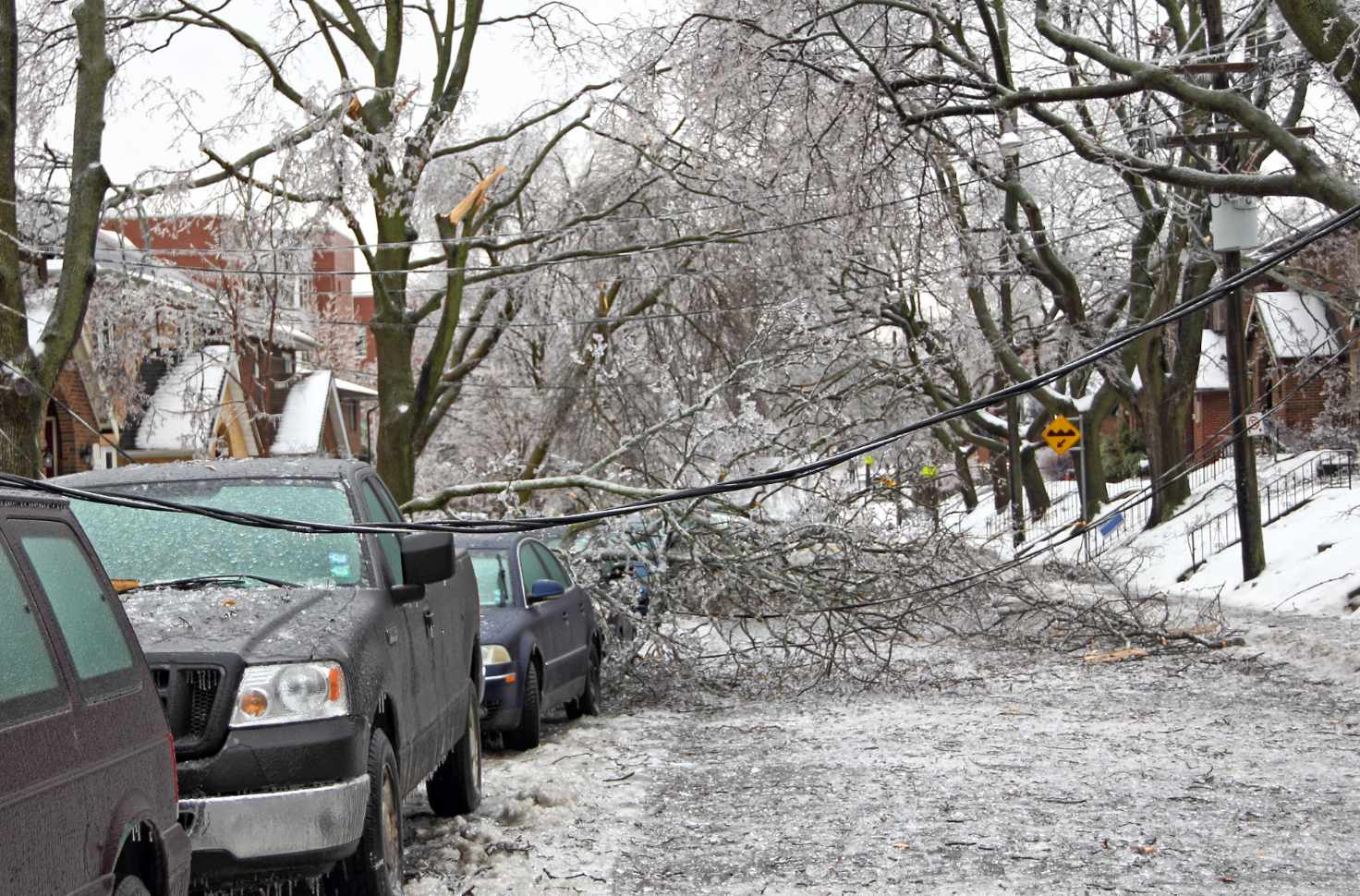 Oakland Tree Pro's 24/7 Emergency Tree Removal