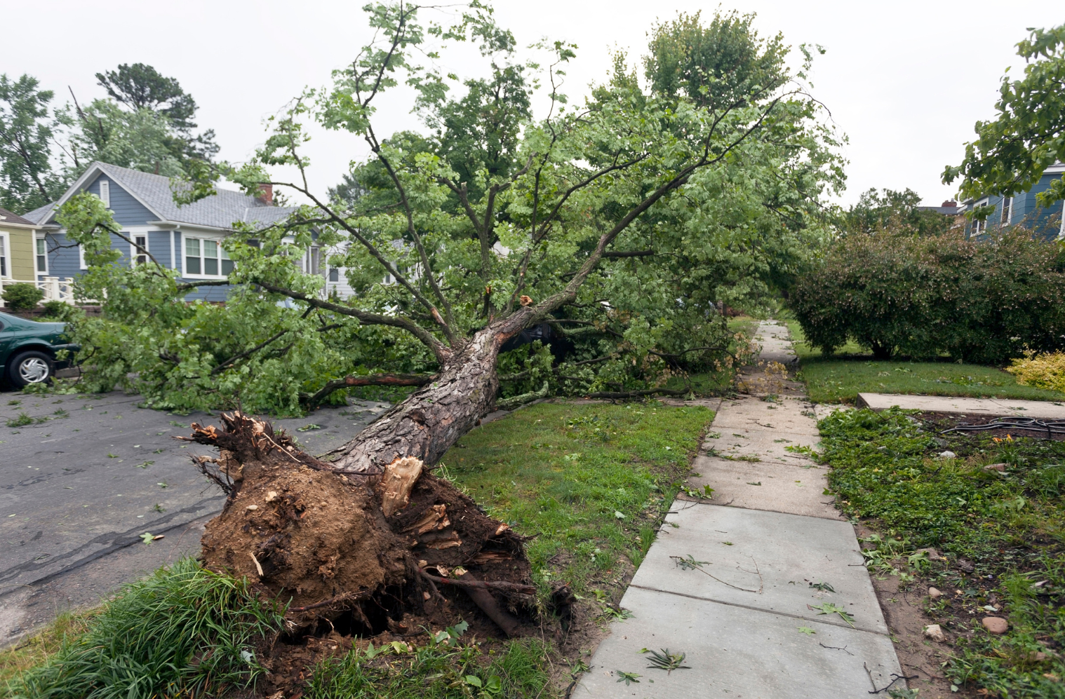 Oakland Tree Pro's 24/7 Emergency Service