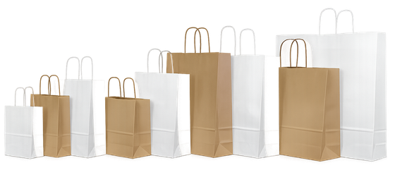 Sacchetti per la spesa assortiti in carta bianca e kraft con manici intrecciati, disposti in base alle dimensioni, dalla più piccola alla più grande.