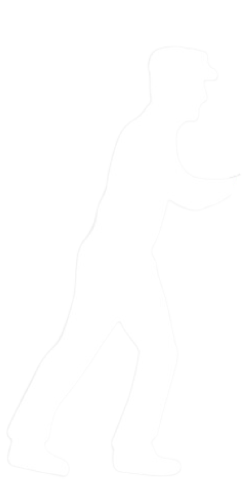 Faint outline of a standing dog on a white background