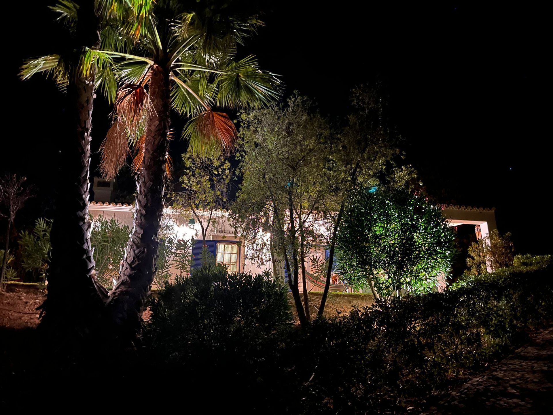 Ein Haus ist nachts beleuchtet, im Vordergrund stehen Palmen