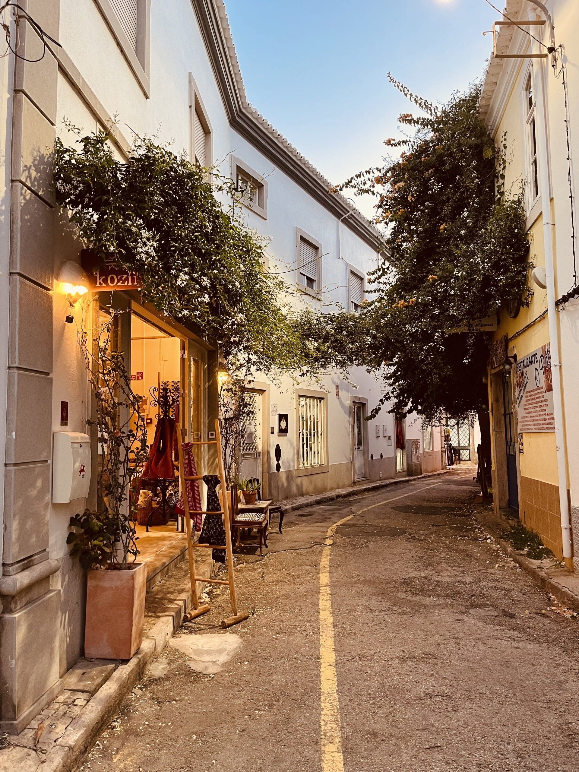 Um beco estreito entre dois prédios com árvores ao lado