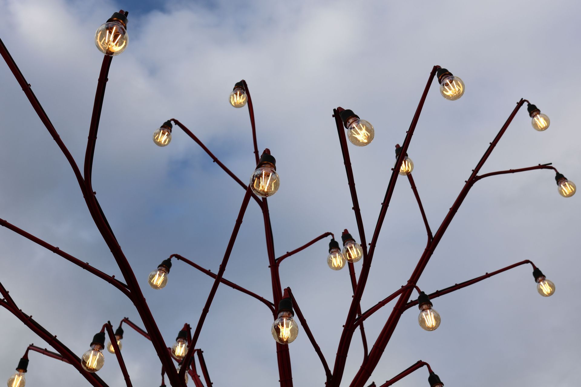 Bare tree branches with small glowing lights against a dusky sky