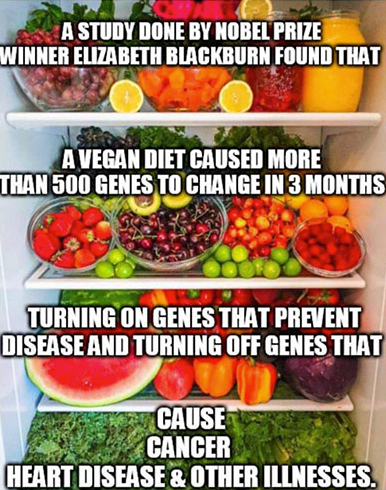 A refrigerator filled with fruits and vegetables with a nobel prize winner elizabeth blackburn