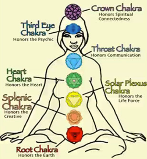 A diagram of the seven chakras of the human body