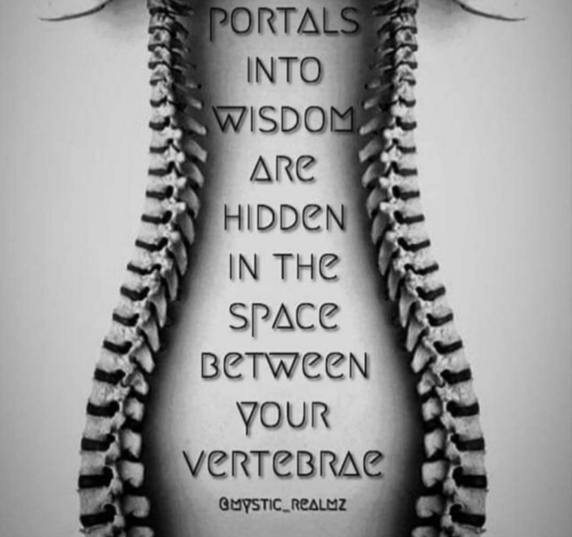 A black and white photo of a skeleton with the words portals into wisdom are hidden in the space between your vertebrae