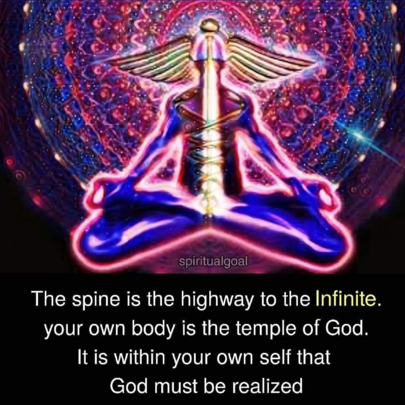 The spine is the highway to the infinite your own body is the temple of god it is within your own self that god must be realized