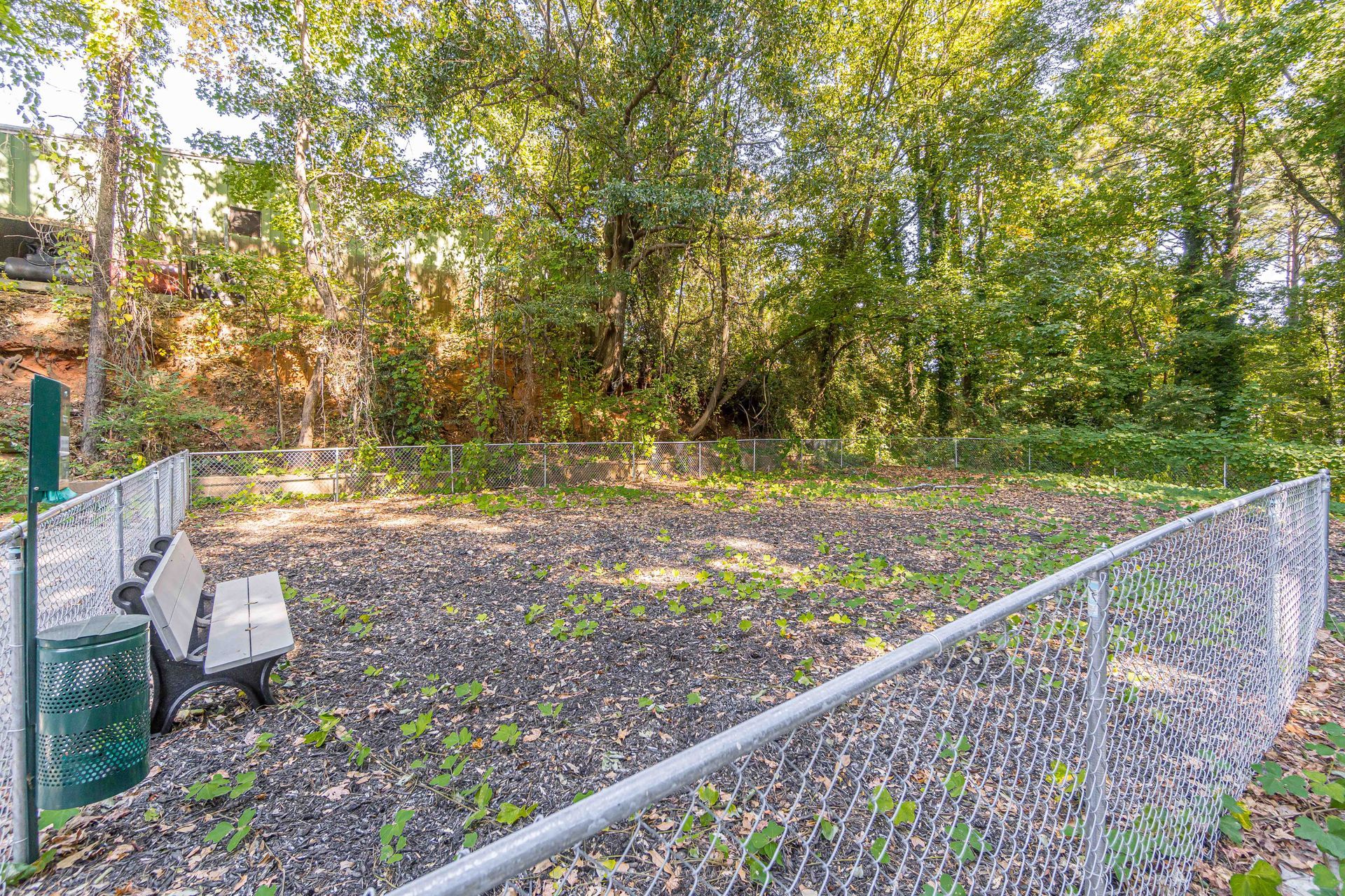 Leaf-covered fenced yard with a bench, trees, and a dirt or gravel ground.