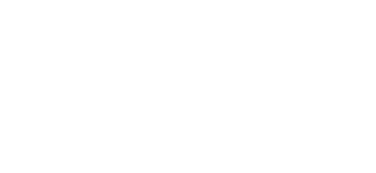 Blank white image with a light gray border