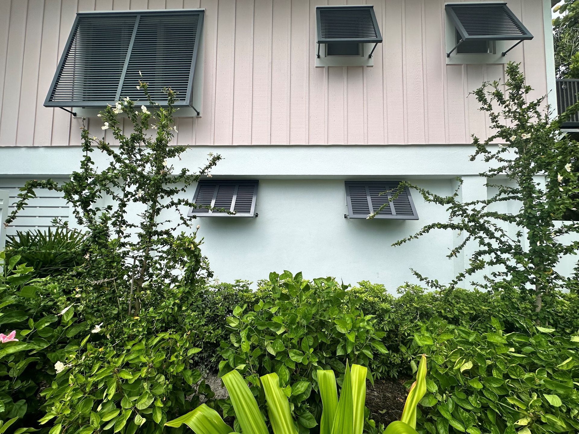 A house with a lot of windows and plants in front of it