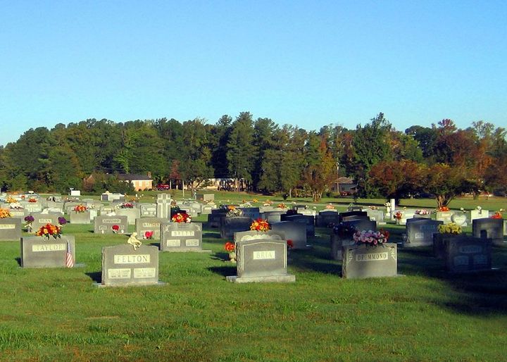 Many gravestones in a sunny cemetery with green grass and trees in the background