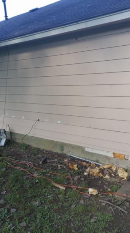 home improvement