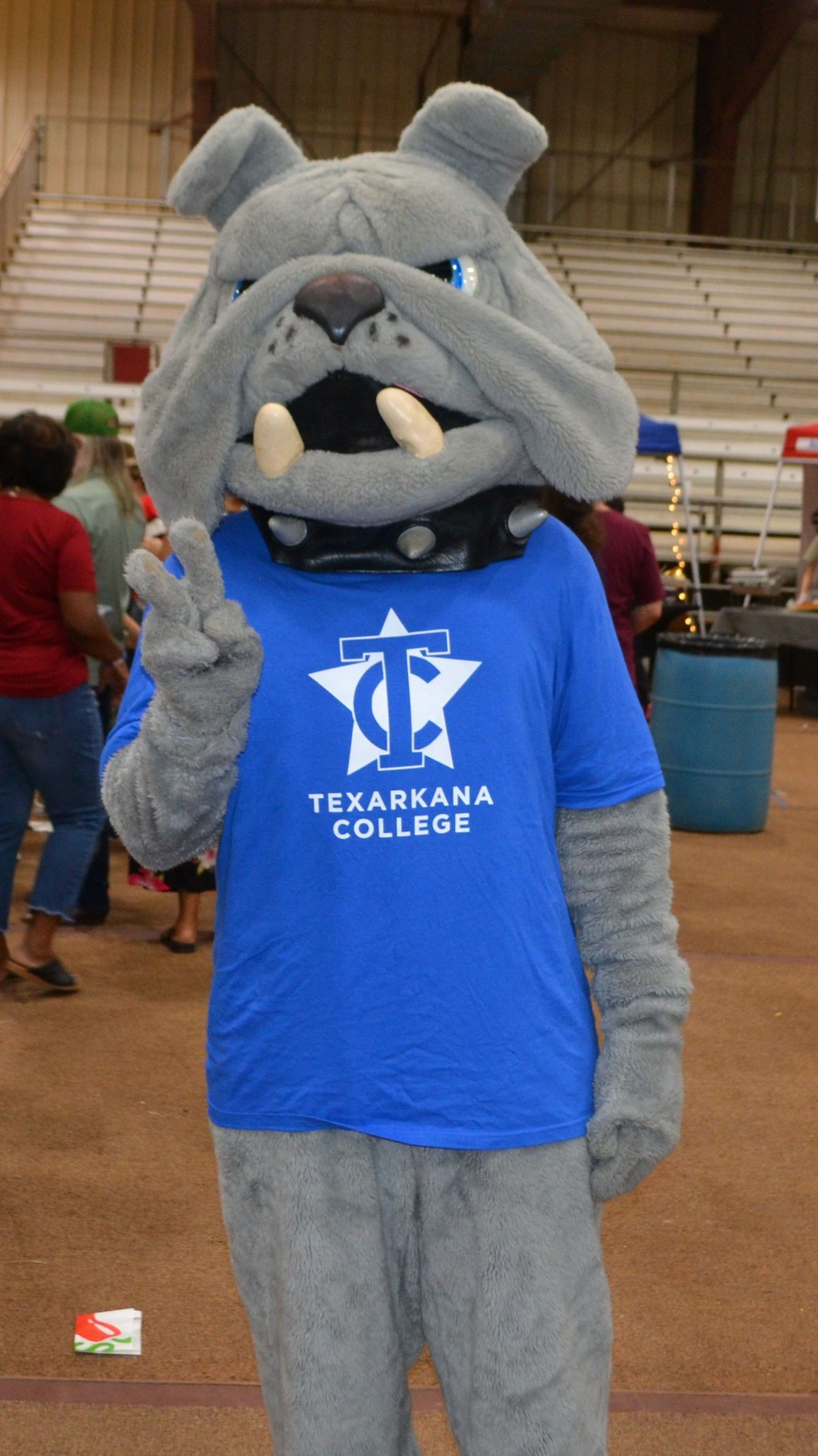 Gray mascot in blue Texas A&M College shirt stands indoors at a sports arena.
