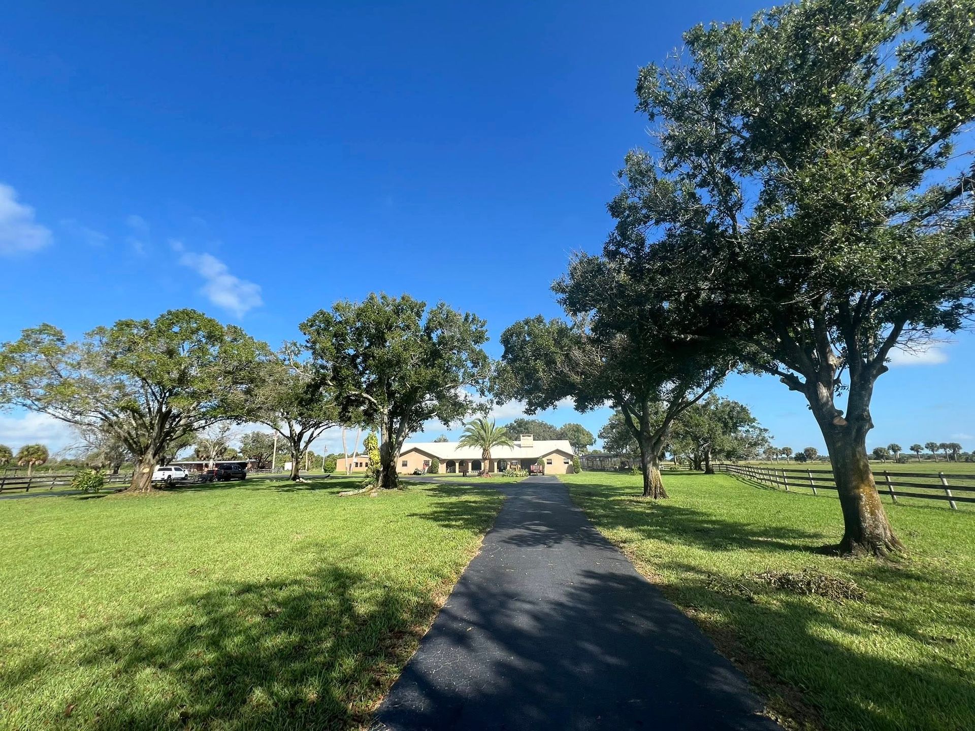 Paved path through green park with trees and houses under a bright blue sky