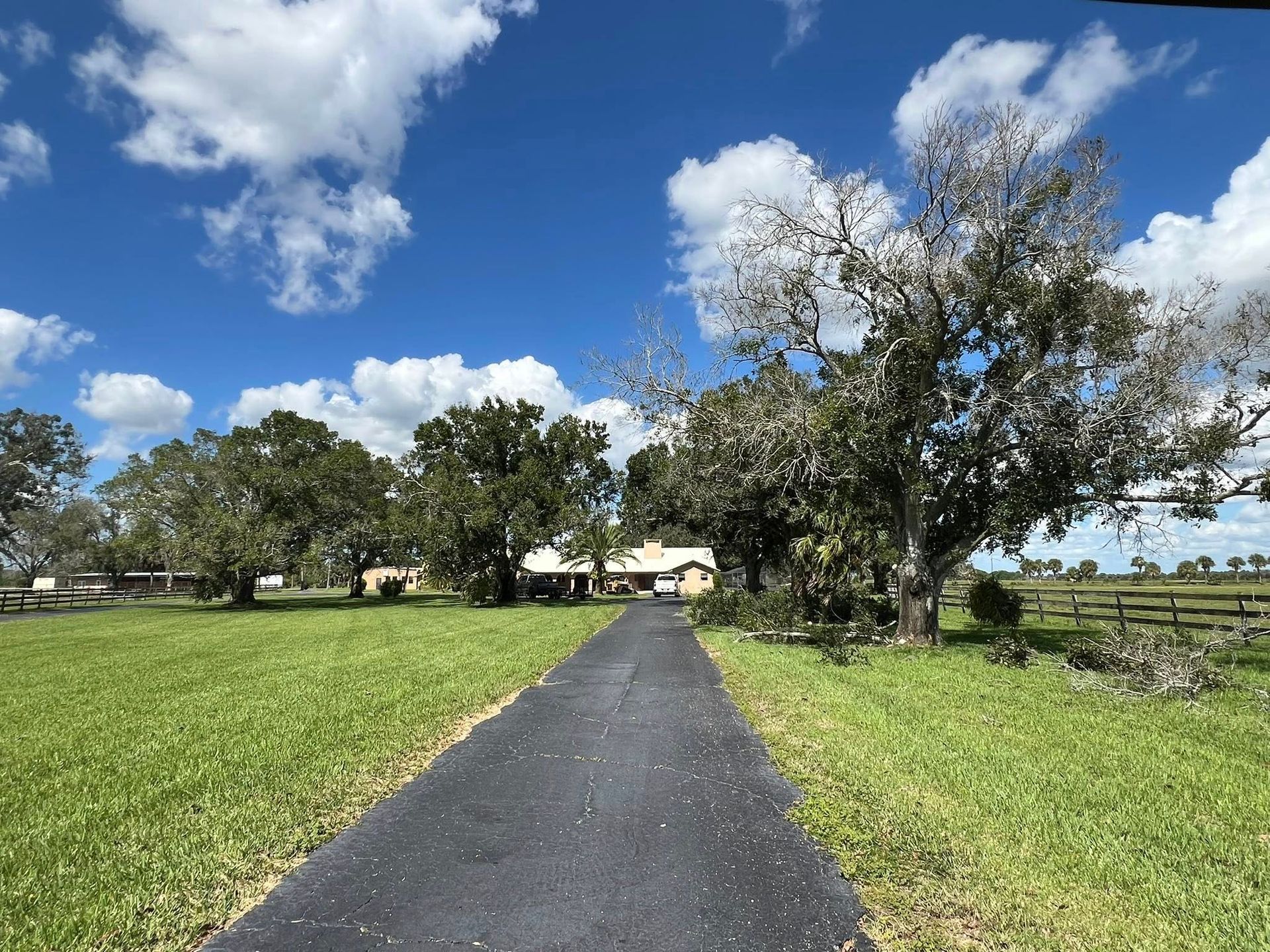 Paved path through green fields under a blue sky with trees and a farmhouse in the distance