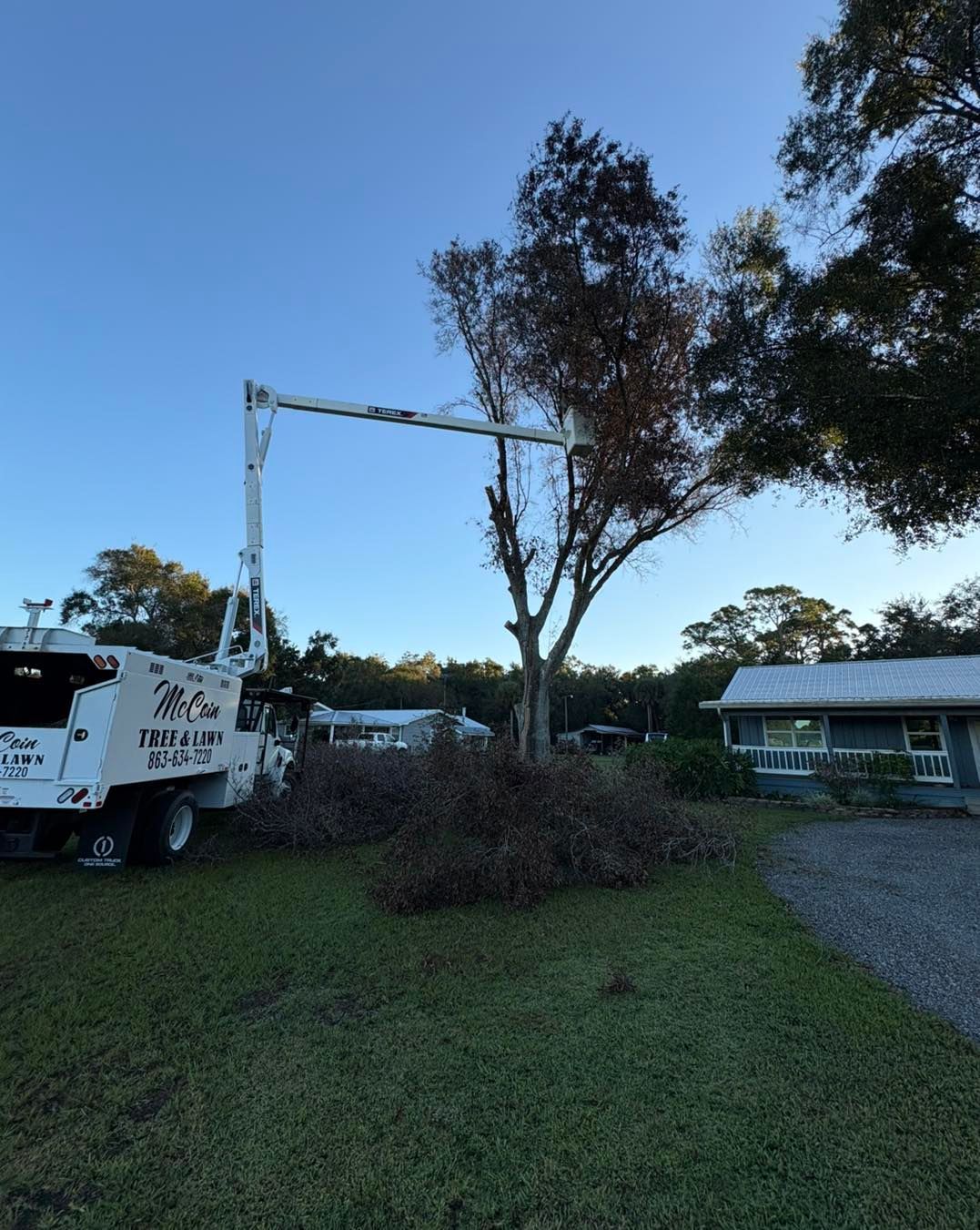 Tree trimming truck and crane beside a house, cutting branches in a grassy yard at dusk