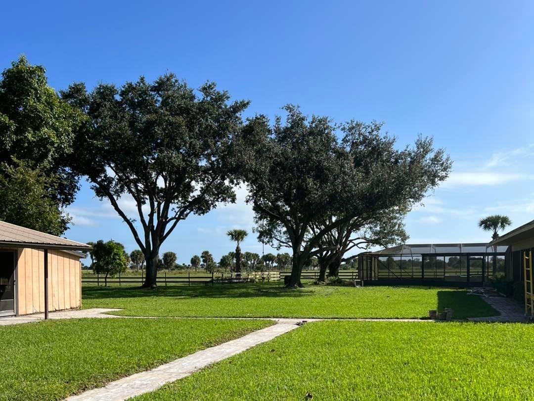 Sunny park with green lawn, dirt path, large trees, and small buildings under a clear blue sky