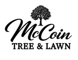 McCoin Tree & Lawn logo: tree illustration above script text.