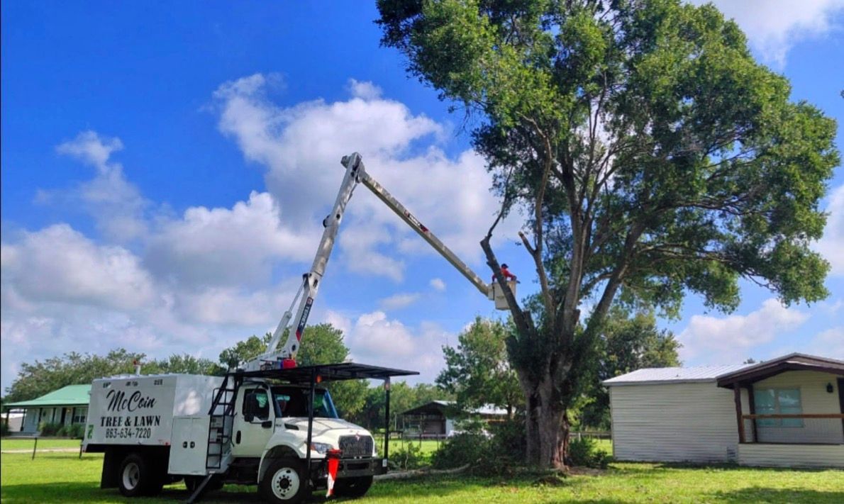 Utility truck with lifted boom trimming a large tree beside a house on a sunny day