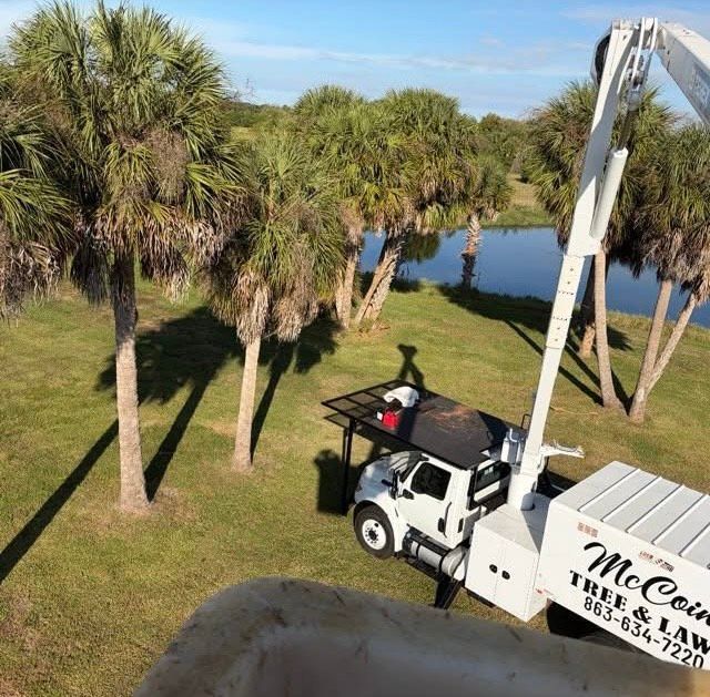 Bucket truck trimming palm trees beside a canal on a sunny grassy landscape.