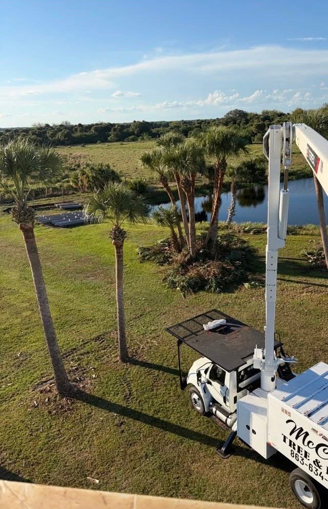 Rural landscape with palm trees and a white utility truck on a grassy field under a blue sky