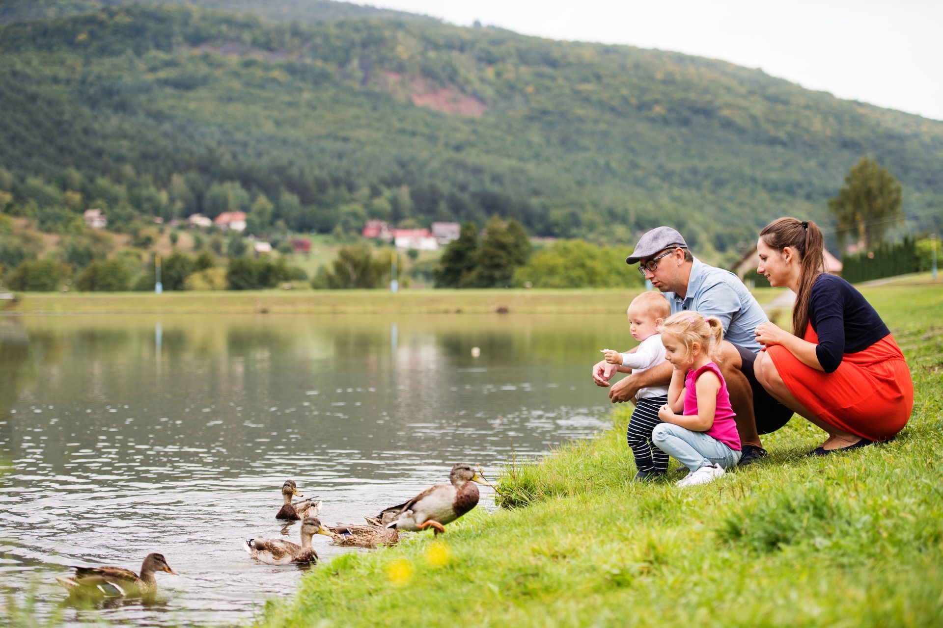 A family is feeding ducks on the shore of a lake.