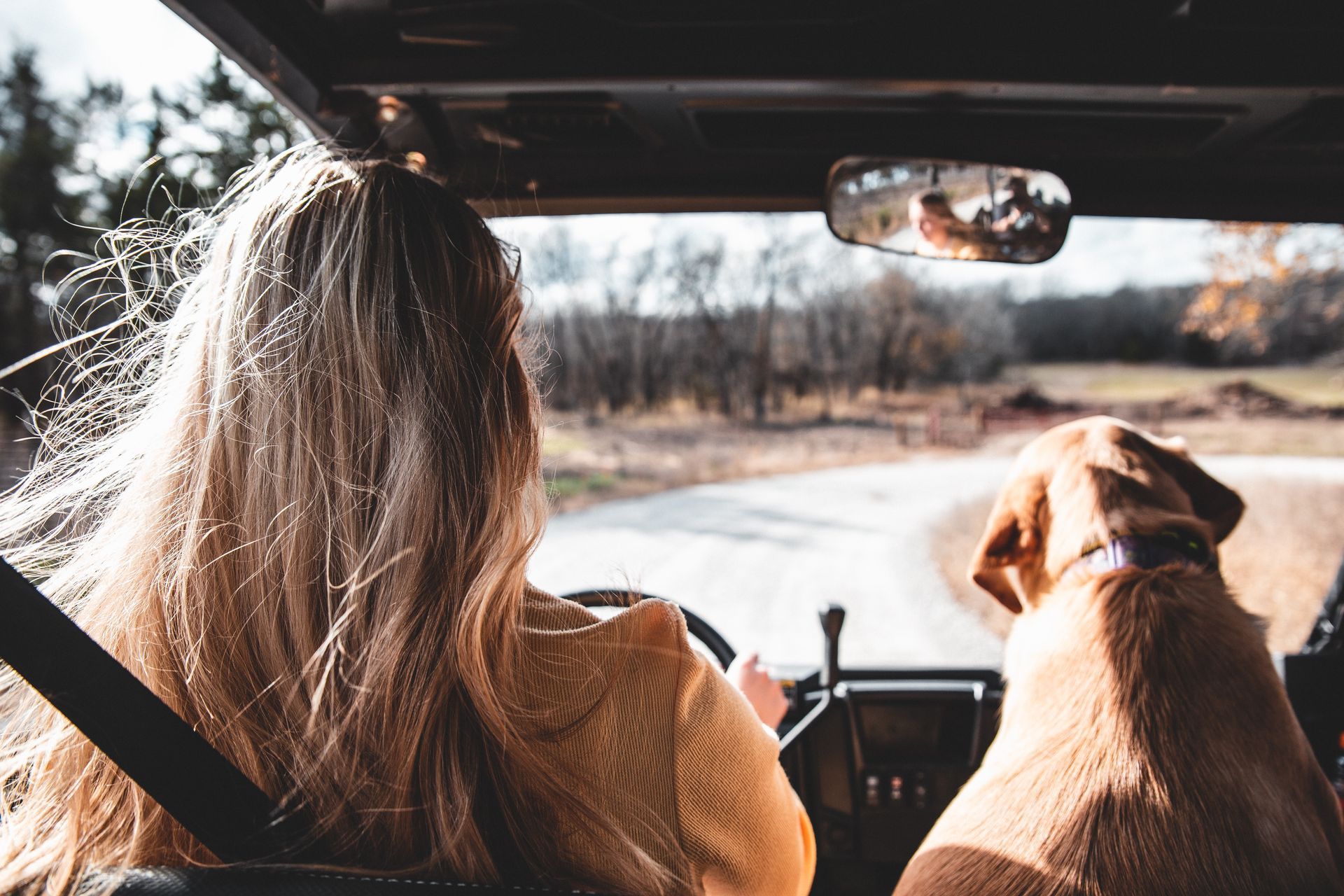 A woman is driving a car with a dog in the back seat.