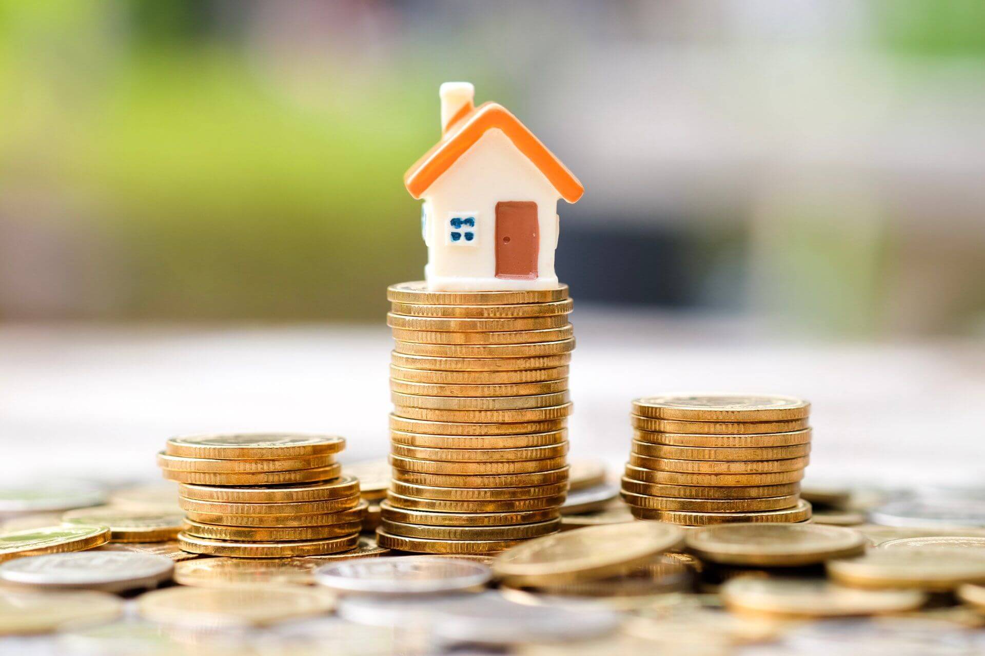 Property Investors Is the future bright in NZ | WWL
