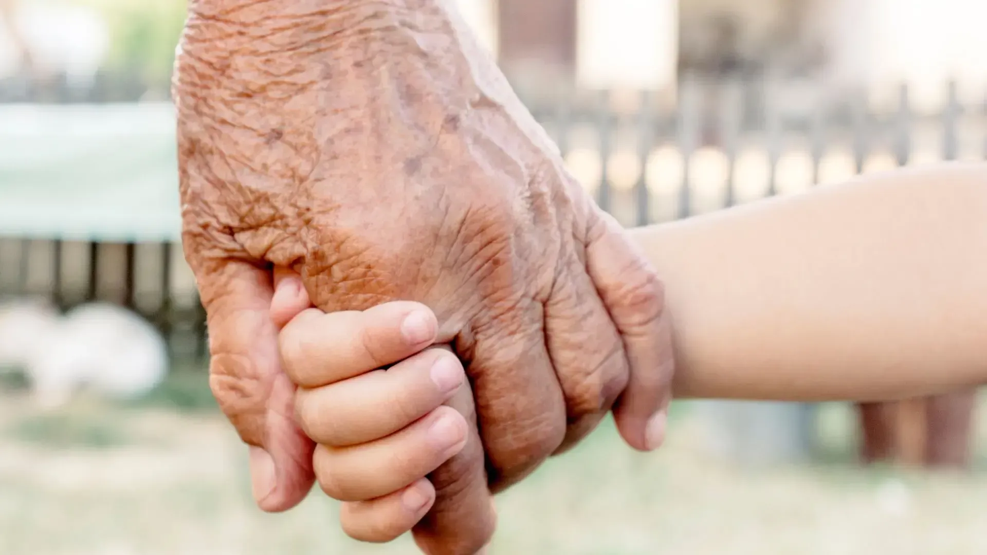 An elderly woman is holding the hand of a young child.