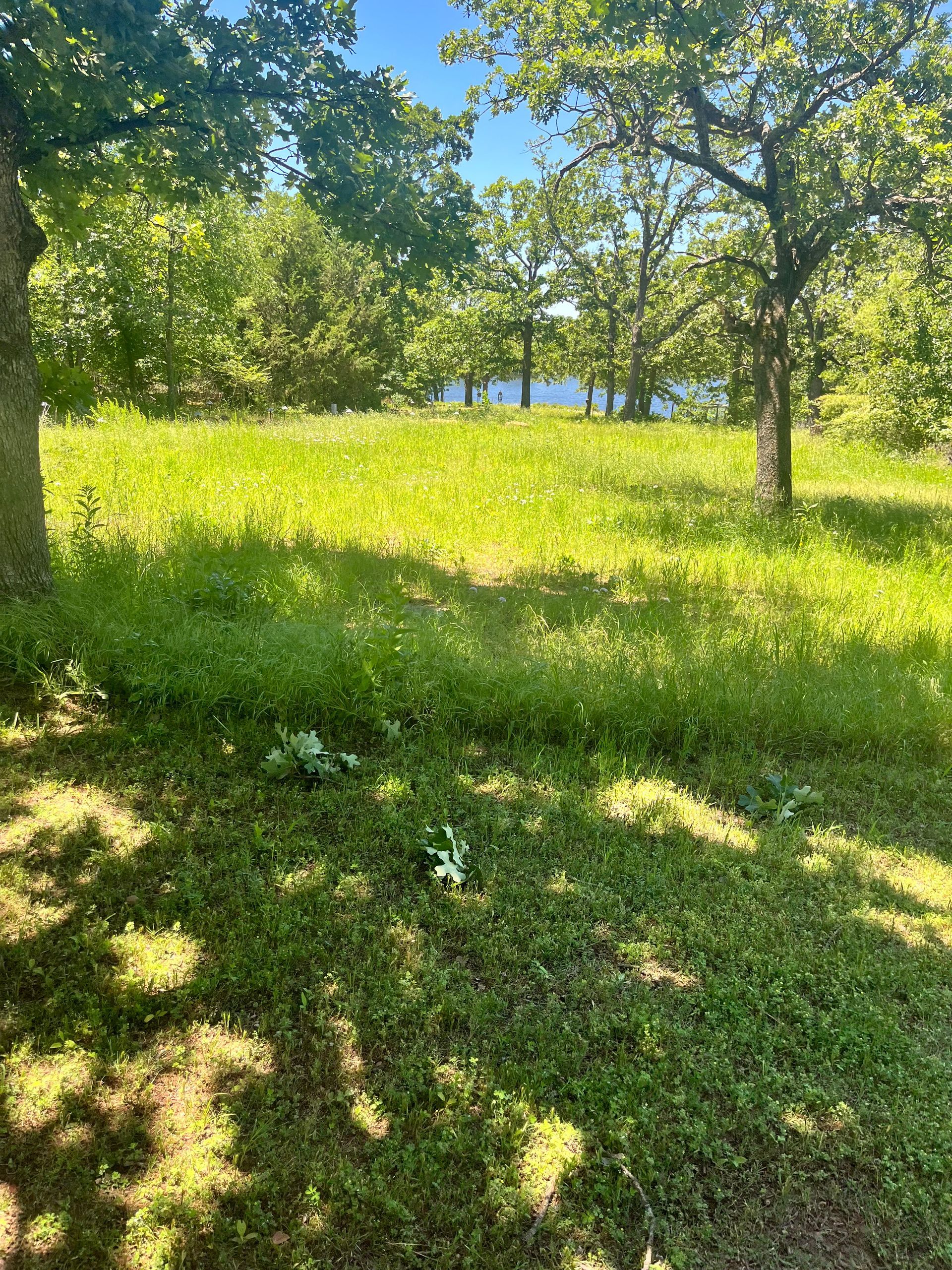 Previous view from TCC to Middle Lake