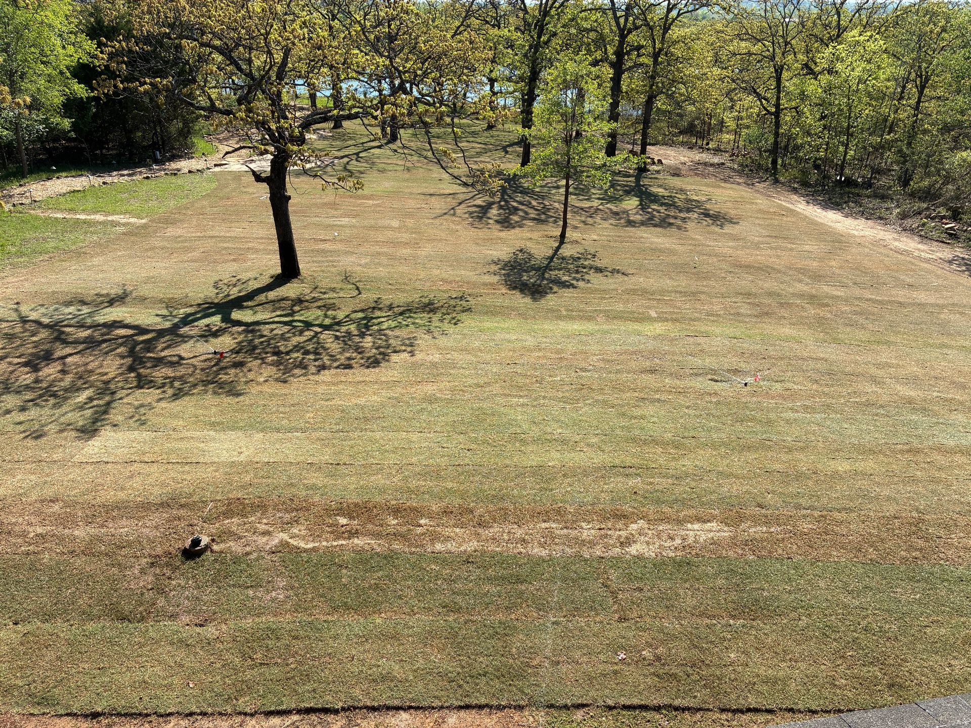 marberry meadow after