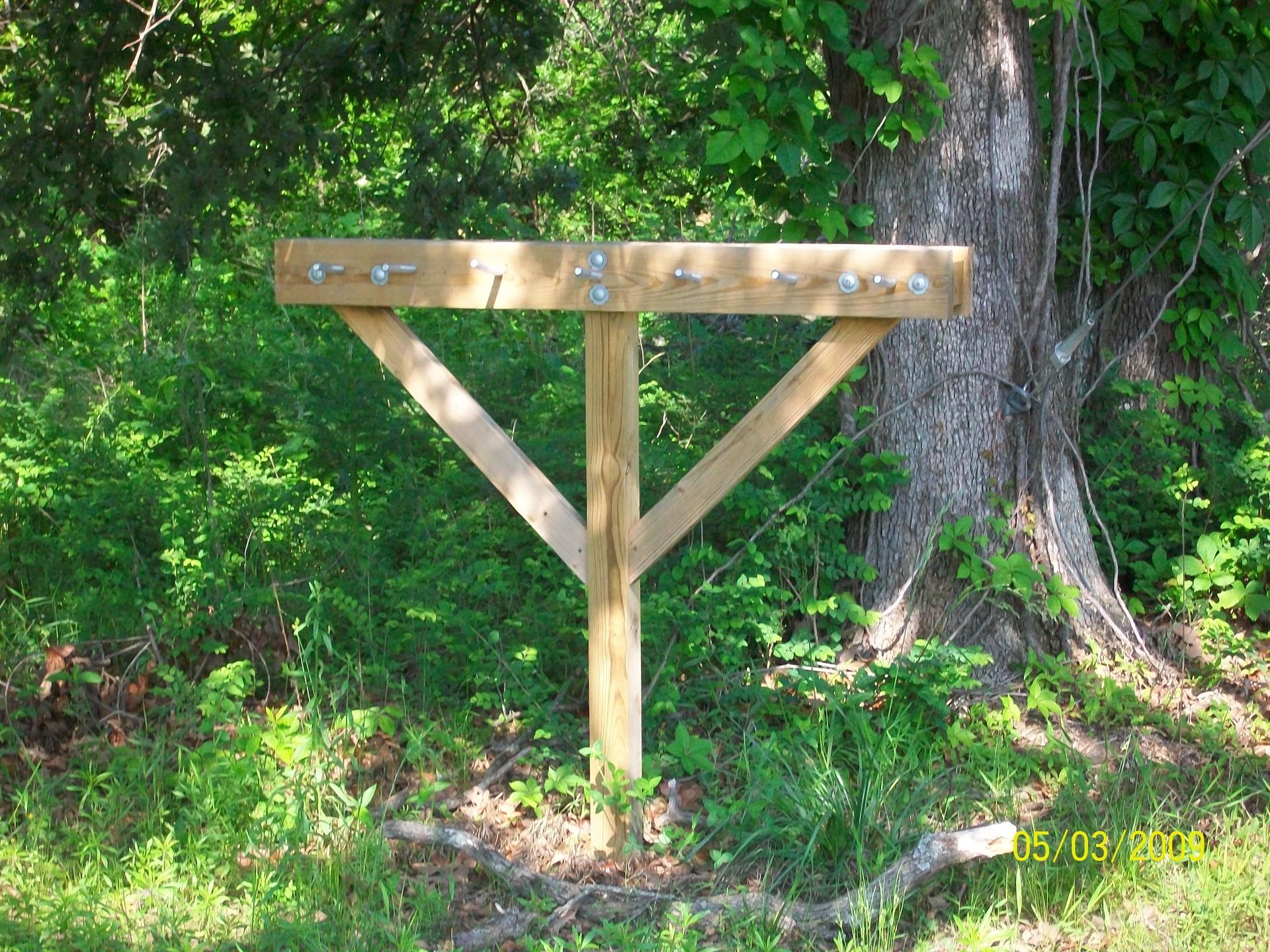 A wooden post in the middle of a forest