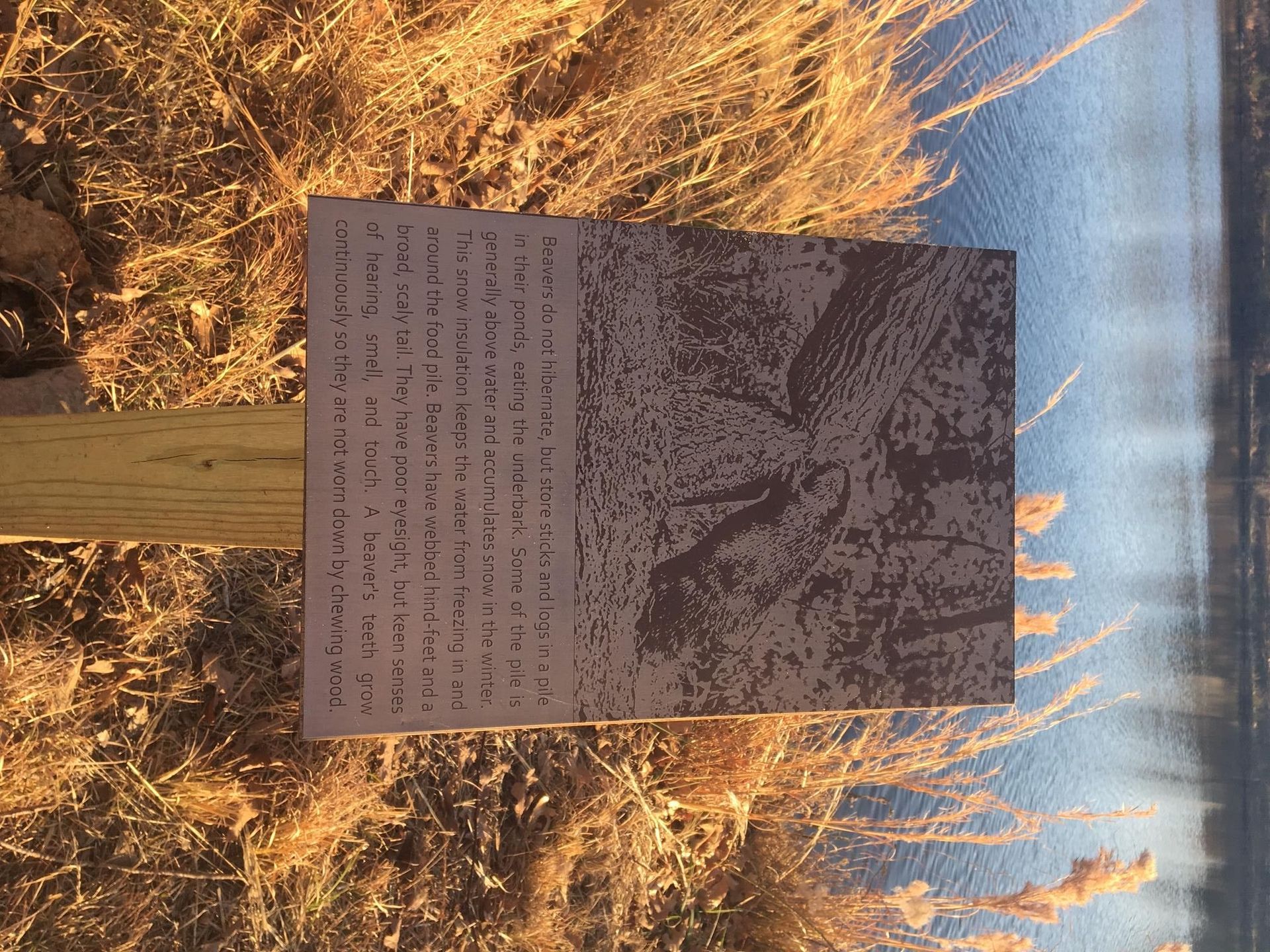 A sign is sitting in the middle of a field next to a body of water.